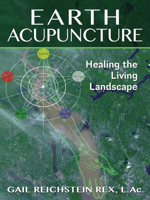 Title details for Earth Acupuncture by Gail Reichstein Rex - Available